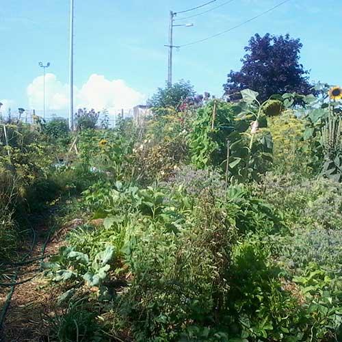 Les grands principes de la permaculture Les grands principes de la permaculture